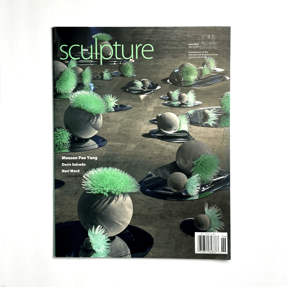 Sculpture, Vol. 32 #5,&nbsp;2013.